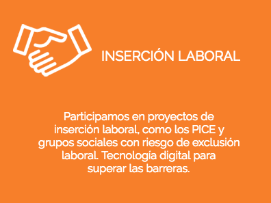 INSERCION LABORAL